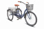 STELS Велосипед Energy-III 26" (16" Синий/золотой), арт. K010 t('фото') 0