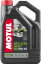 MOTUL Atv-Utv Expert 4T 10w40  SM/SG, MA   4 л (масло П/С ) 113175/105939/112786
